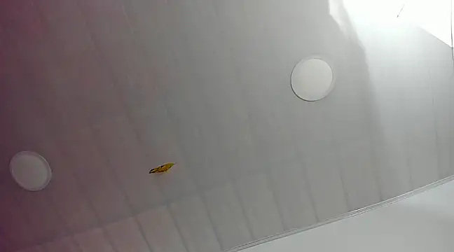 JennCarter  online show from 02-03-25, 03:06