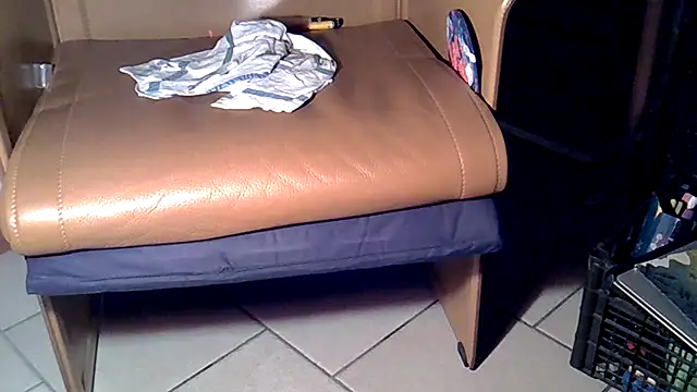 Damn bro23 online show from 11-28-25, 05:57