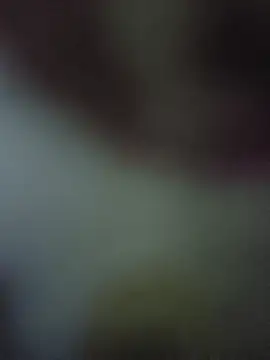 randit7 online show from 11-10-25, 04:28