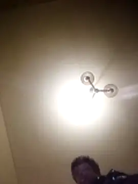 petxxl online show from 11-29-25, 08:14