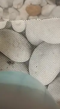 Playboy bhabhi 00 online show from 02-25-25, 08:14