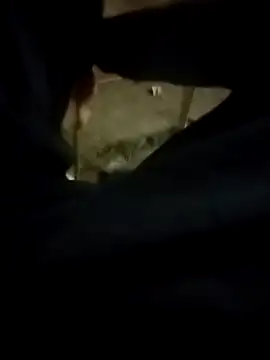 Playboy bhabhi 00 online show from 02-13-25, 02:42