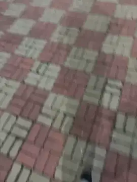 Phil 6677 online show from 10-12-25, 06:53