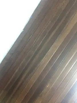 indiazinha69  online show from 02-22-26, 05:25