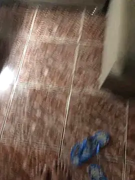 indiazinha69  online show from 12-15-25, 05:35