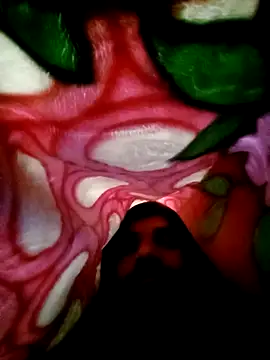 Nightservice27 online show from 02-22-25, 03:45