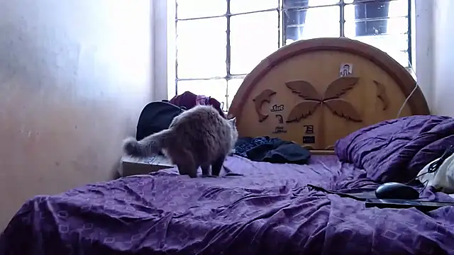 nakedlima online show from 10-31-25, 05:20