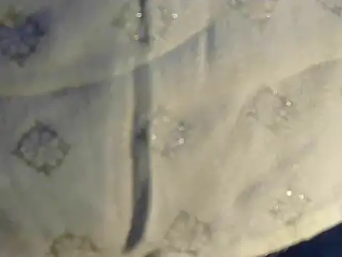 Cutie Pie1p online show from 03-19-25, 08:45