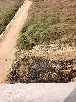 xmanrawan2 online show from 02-12-26, 05:07