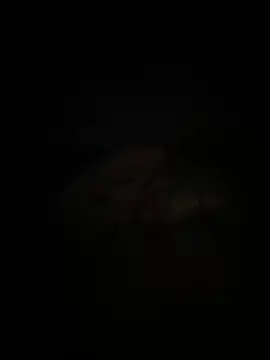 Snapshot of adelin20 chatting on 11-19-25, 06:19 adelin20 online show from 11-19-25, 06:19