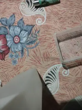 birds0641 online show from 04-06-26, 06:20