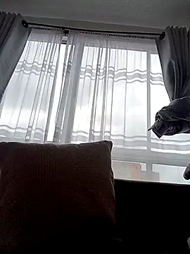 bri ali online show from 03-08-25, 06:05