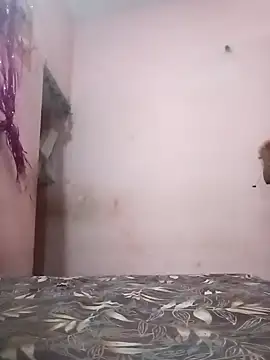 runi31 online show from 03-01-25, 06:24