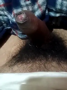 Snapshot of guavam65 chatting on 02-09-26, 07:45 guavam65 online show from 02-09-26, 07:45