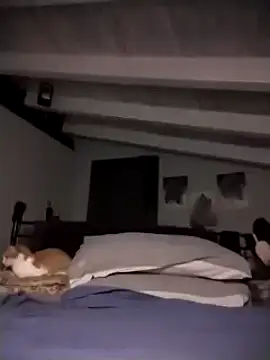 divinaerotica online show from 11-17-25, 05:28