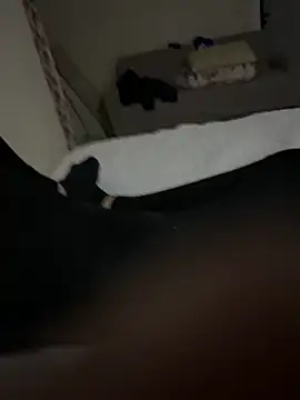 senle12ben2 online show from 02-03-25, 07:42