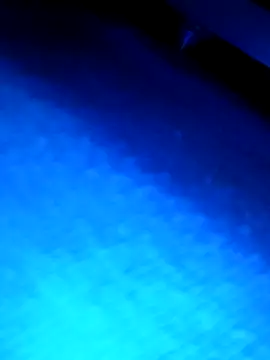 wadmma online show from 03-13-26, 03:22