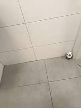 wadmma online show from 04-03-26, 04:19