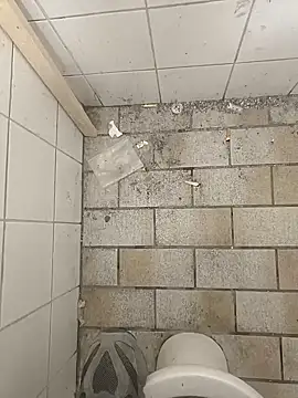 wadmma online show from 11-19-25, 08:47