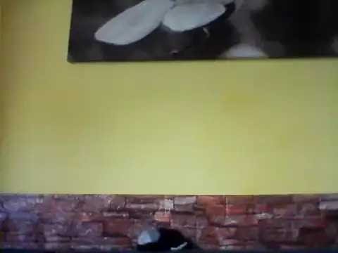 sexy lady2 online show from 02-17-25, 10:07