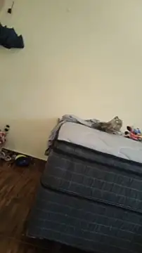 JapeDoBryan online show from 05-16-26, 06:29