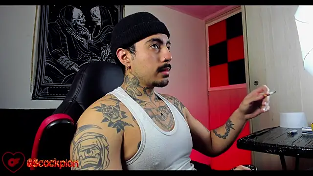 Snapshot of scockpion__ chatting on 02-18-26, 08:33 scockpion online show from 02-18-26, 08:33