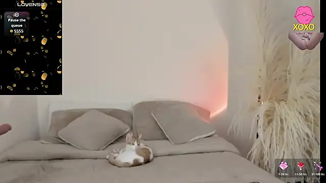 Sammy-Jhonson online show from 03-29-26, 11:06