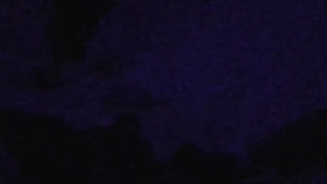 cruz815 online show from 09-20-25, 11:04