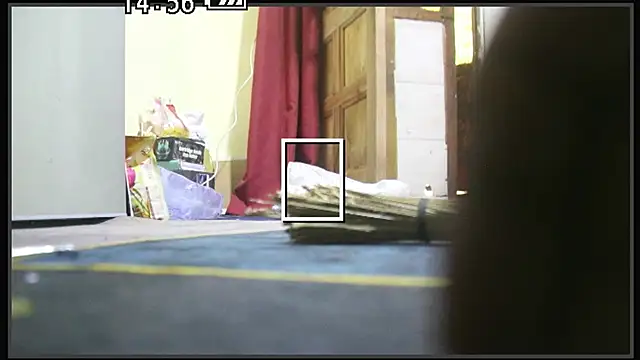 EXLOVER2 online show from 07-26-26, 03:41