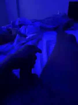 bigbola304 online show from 04-03-26, 11:49