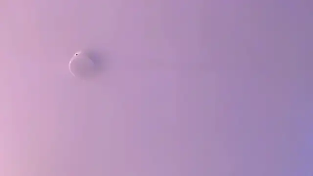 leahaltomm online show from 04-18-26, 02:25