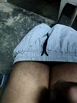 Snapshot of omni_333 chatting on 03-01-26, 02:17 omni 333 online show from 03-01-26, 02:17