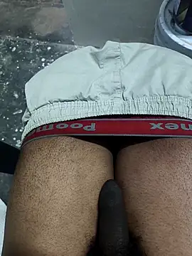 Snapshot of omni_333 chatting on 02-11-26, 12:38 omni 333 online show from 02-11-26, 12:38