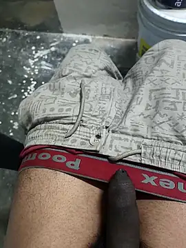 Snapshot of omni_333 chatting on 02-04-26, 01:17 omni 333 online show from 02-04-26, 01:17