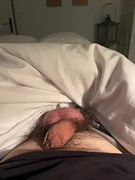 Avignon1963 online show from 04-11-26, 07:17