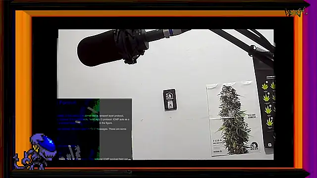 Snapshot of ReyDeBotones chatting on 03-13-25, 11:38 ReyDeBotones online show from 03-13-25, 11:38