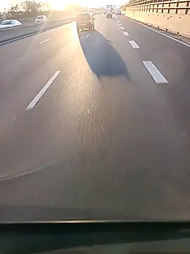 Dam70 online show from 12-04-25, 02:49