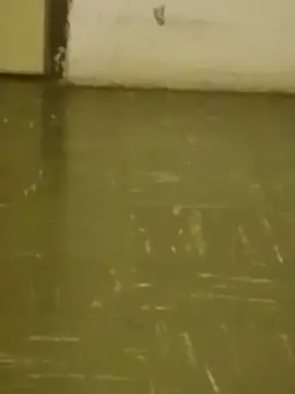 Snapshot of DahGiver chatting on 02-18-25, 10:47 DahGiver online show from 02-18-25, 10:47