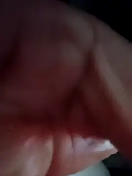 ginger 1 1 online show from 02-12-25, 11:41