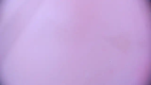 Ashlyaurora online show from 03-11-25, 07:35