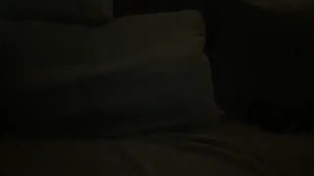 LeoLovelyDick online show from 11-24-25, 07:58