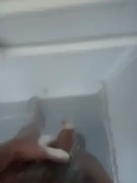 Snapshot of bigcockturk3 chatting on 02-12-25, 07:13 bigcockturk3 online show from 02-12-25, 07:13