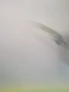 Yashkumar 0697 online show from 11-16-25, 08:19