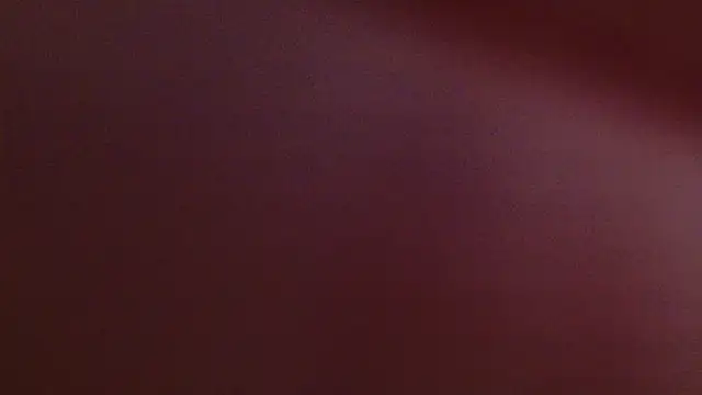 lissa palmer online show from 11-12-25, 03:10