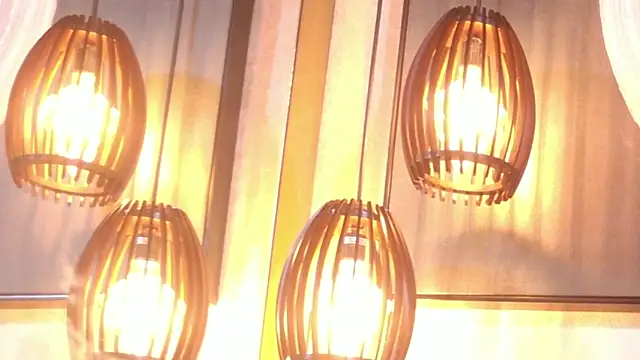 lissa palmer online show from 11-30-25, 03:18