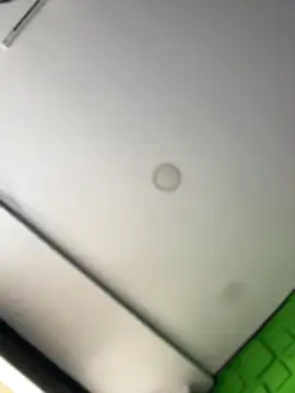 Dulce  Boyd online show from 03-14-26, 02:34