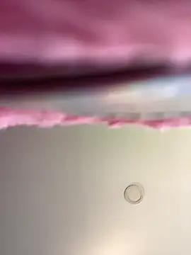 Dulce  Boyd online show from 11-19-25, 01:33