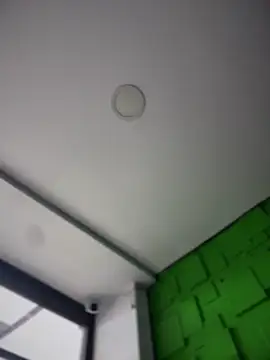 Dulce  Boyd online show from 12-20-25, 01:47