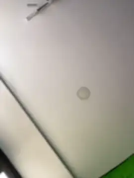 Dulce  Boyd online show from 02-11-26, 02:39