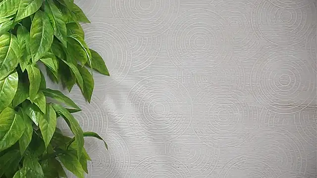 GwenBottrellv online show from 02-08-25, 12:49